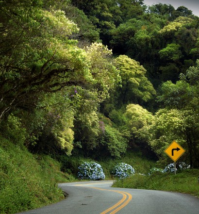 Viagem de carro