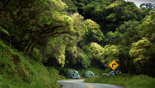 Vamos viajar de carro! 3 Estradas incríveis no Brasil